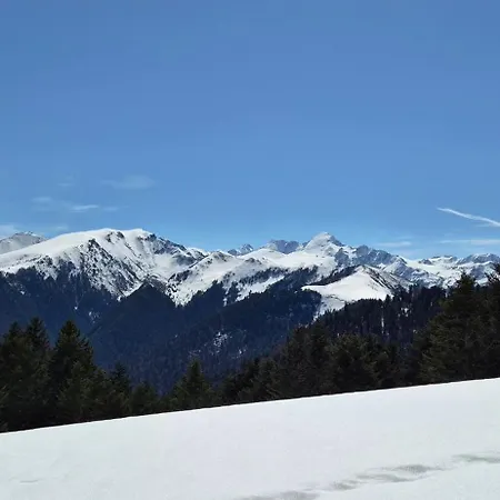 Grand 8 Pers A 10 Min Des Pistes, Mourtis