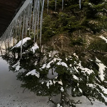 Grand 8 Pers à 10 Min Des Pistes, Mourtis Chalet Boutx